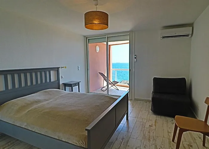 Apartman Beau 2 Pieces Climatise Avec Parking, Face Mer - Fr-1-472A-150 Sète